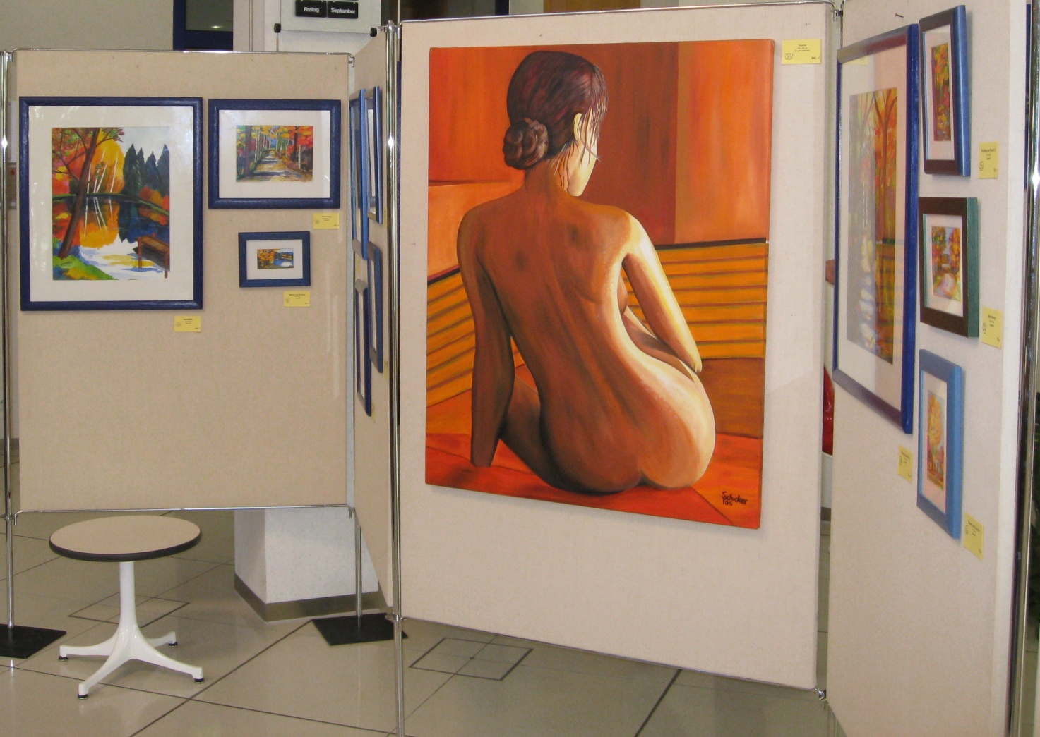Bilder der Ausstellung in der Sparkasse TIR 2009