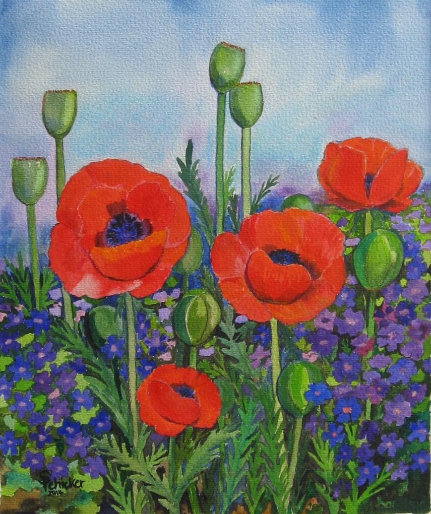 Mohn und Storchenschnabel